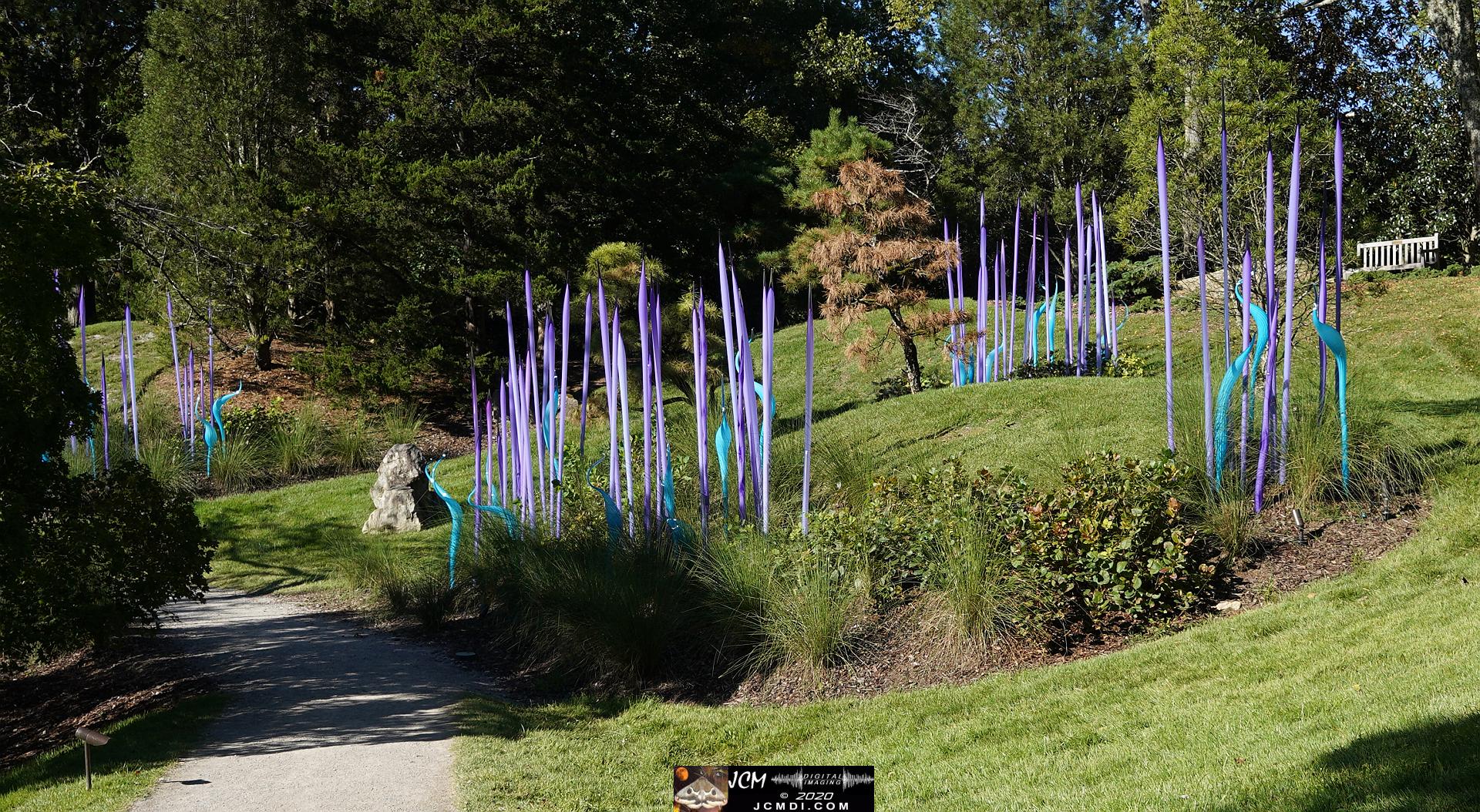 20200930 CheekWood Chihuly - Blue and violet reeds
